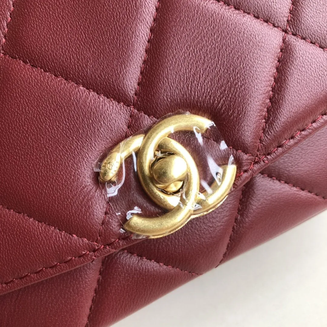 Designer Handbags CL 170